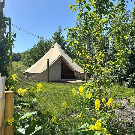 Glamping De Hof Eeden