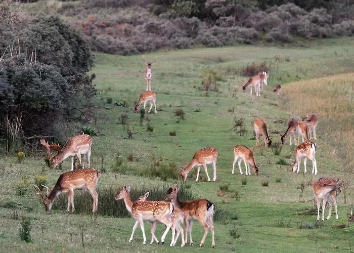 Glamping De Hof Eeden 豪华帐篷 *