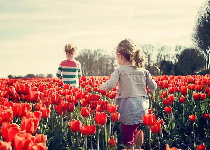 Campo de lujo Glamping De Hof Eeden Warmond