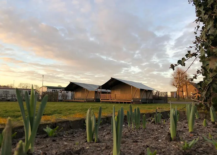 Glamping De Hof Eeden 豪华帐篷 *