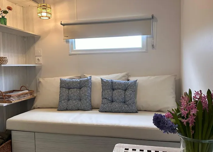 Glamping Glamping De Hof Eeden *