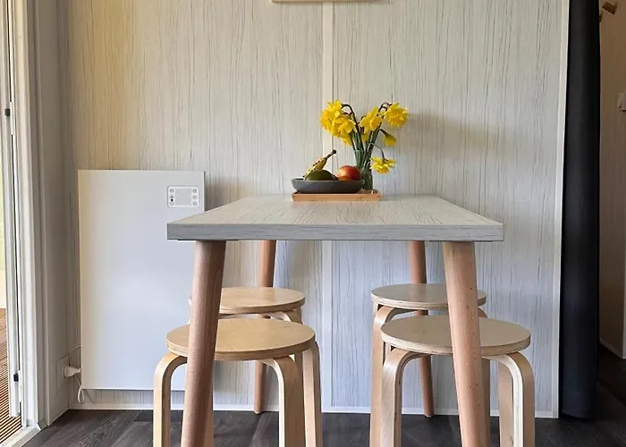 Glamping Glamping De Hof Eeden *